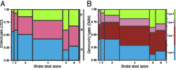 Enterotypes distribution over BSS scores.